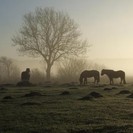 Hof-solgaard Apartment Loit